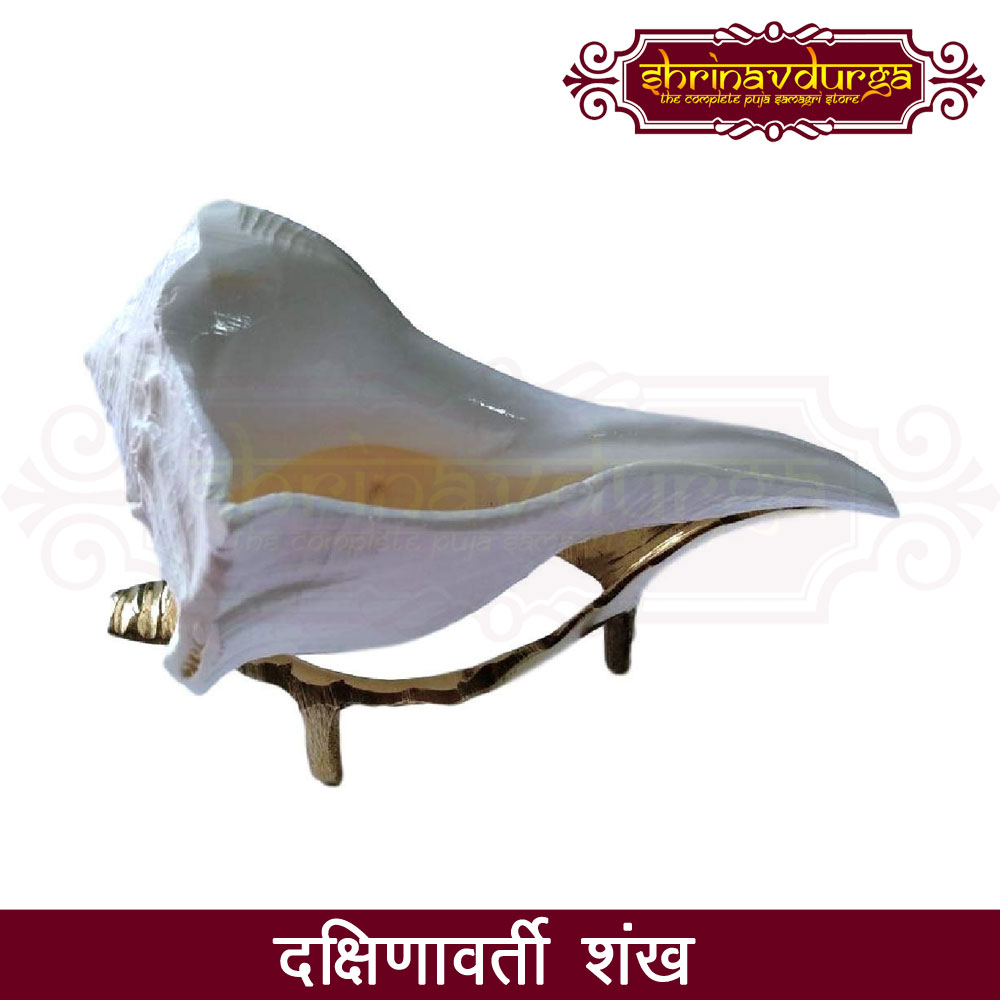 Dakshinavarti Shankh (दक्षिणावर्ती शंख) - Pooja Samagri Store